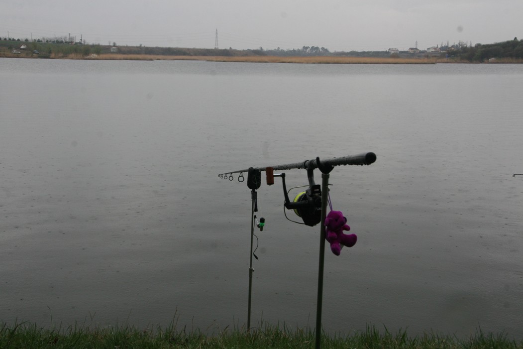 solitude