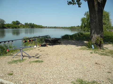 DSCN1059.JPG