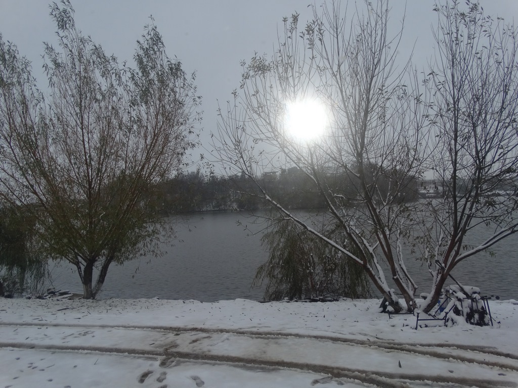DSC00205 (Copy).JPG