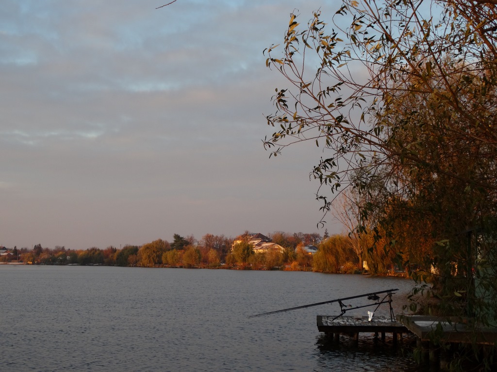 DSC00342 (Copy).JPG