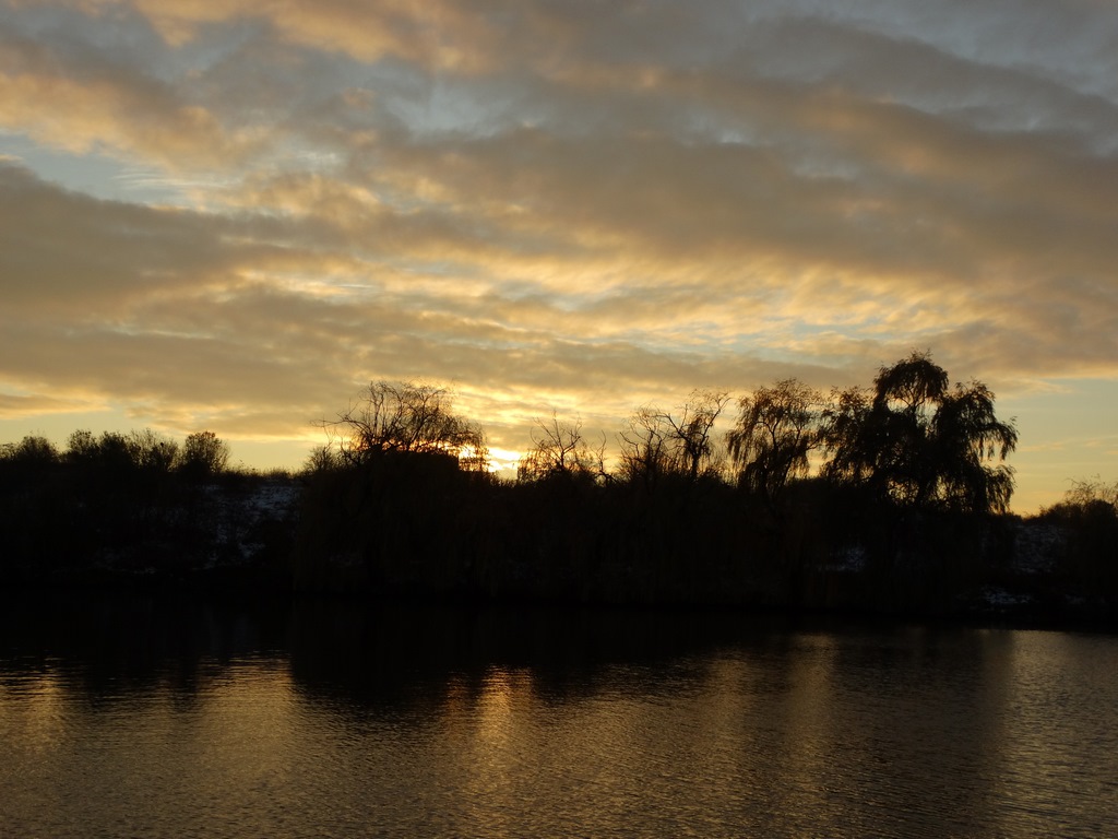 DSC00343 (Copy).JPG