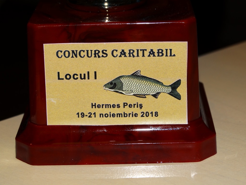 DSC00536 (Copy).JPG