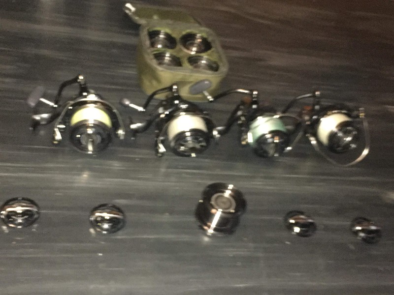 received_337812567073115-800x600.jpeg