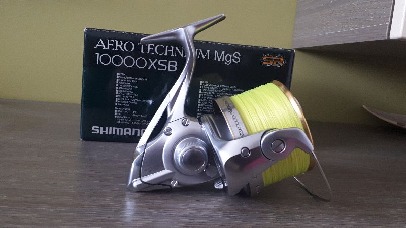 20190401_145044.jpg