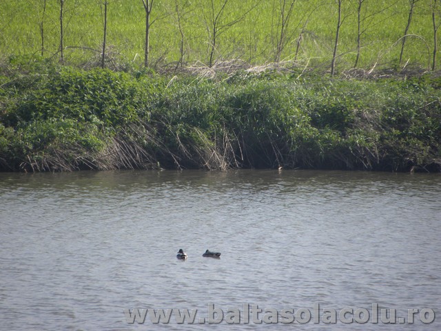 DSCN8194.jpg