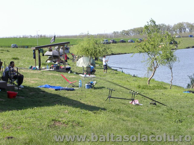 DSCN8227.jpg