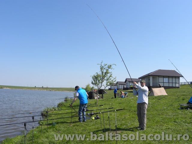 DSCN8228.jpg