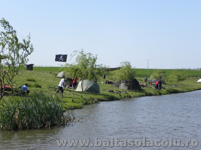 DSCN8230.jpg