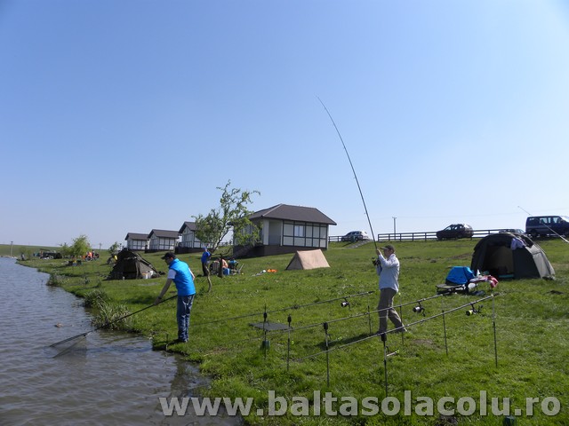 DSCN8231.jpg