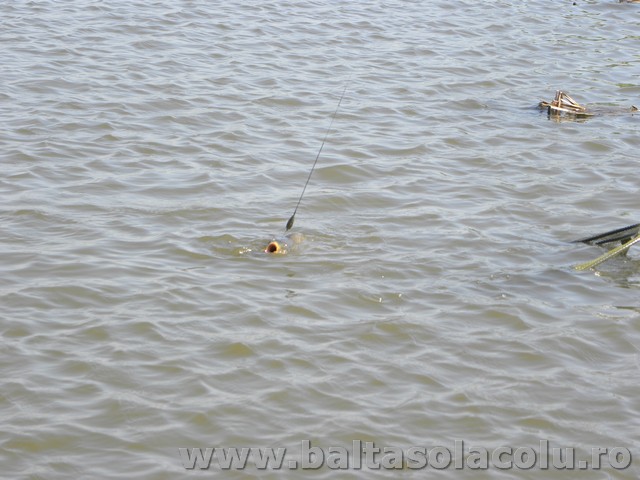DSCN8232.jpg