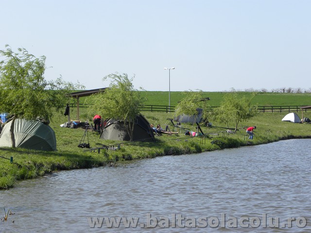 DSCN8237.jpg
