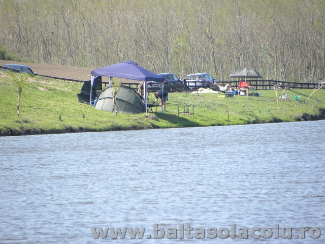 DSCN8238.jpg