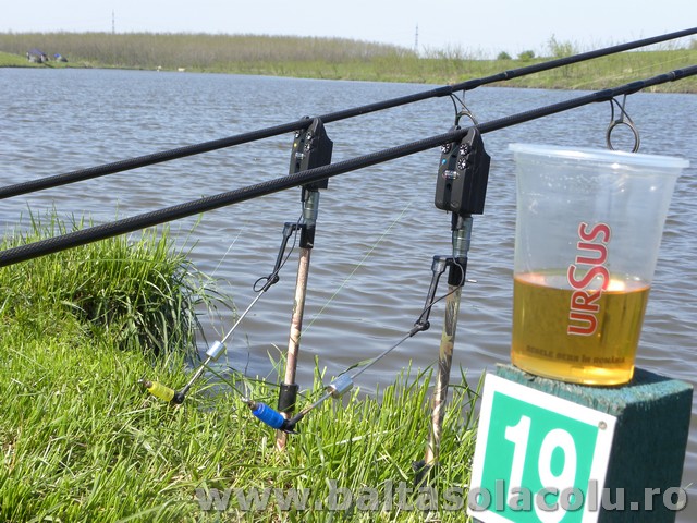 DSCN8245.jpg