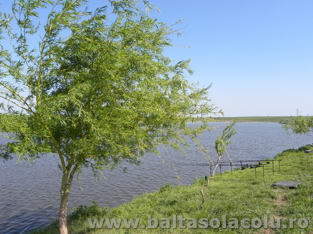 DSCN8252.jpg