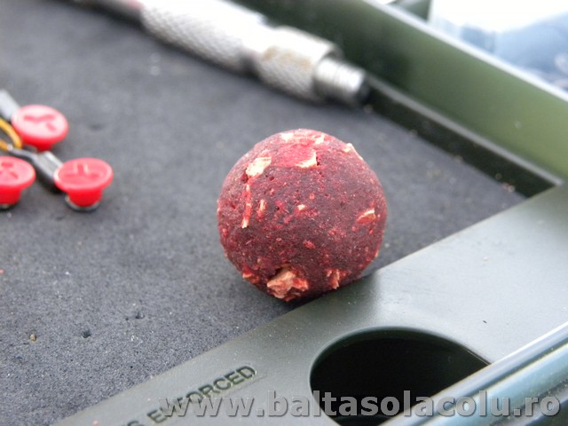 DSCN8256.jpg