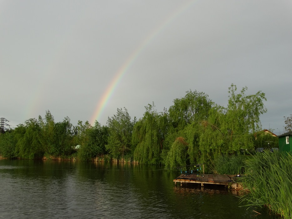 DSC02101 (Copy).JPG