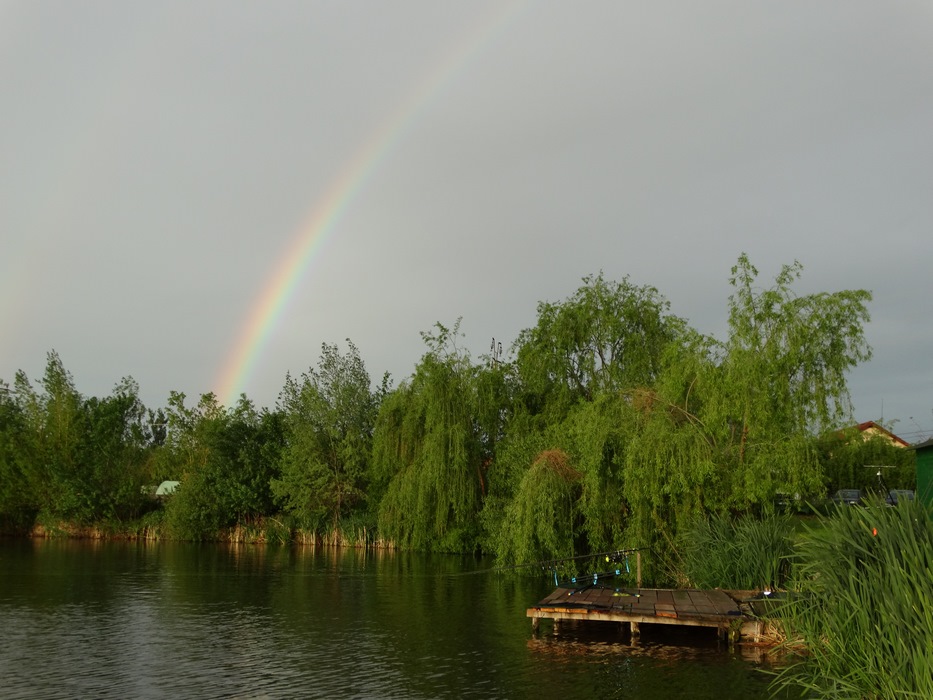 DSC02100 (Copy).JPG