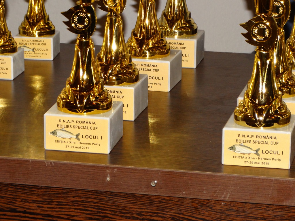 DSC02186 (Copy).JPG