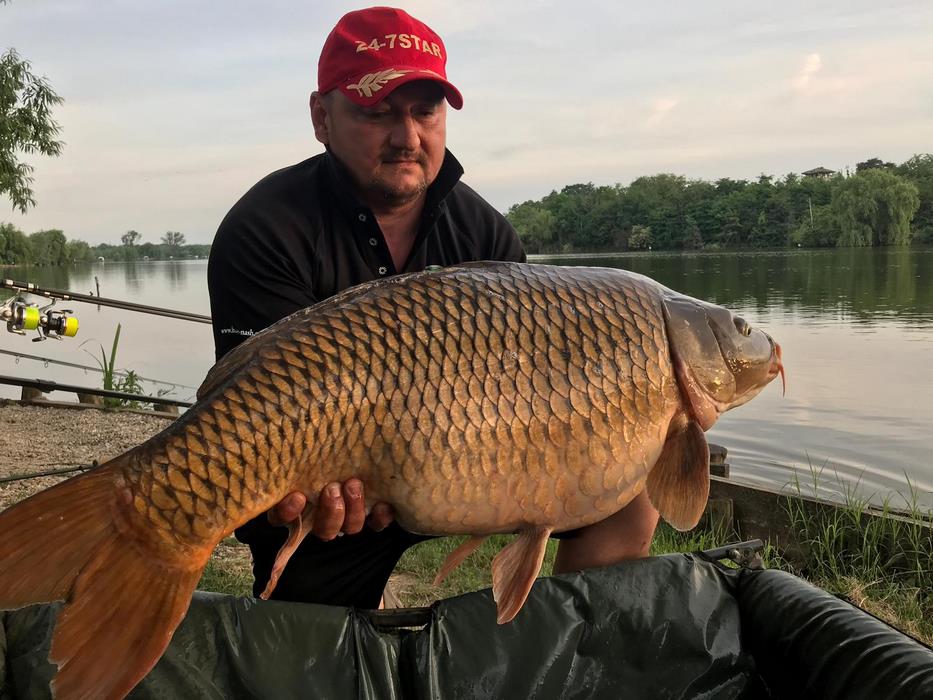 IMG-20190527-WA0017 (Copy).jpg