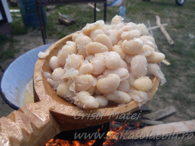 DSCN8450.jpg