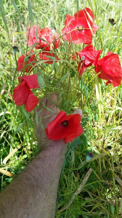 IMG-20190529-WA0023 (Copy).jpg