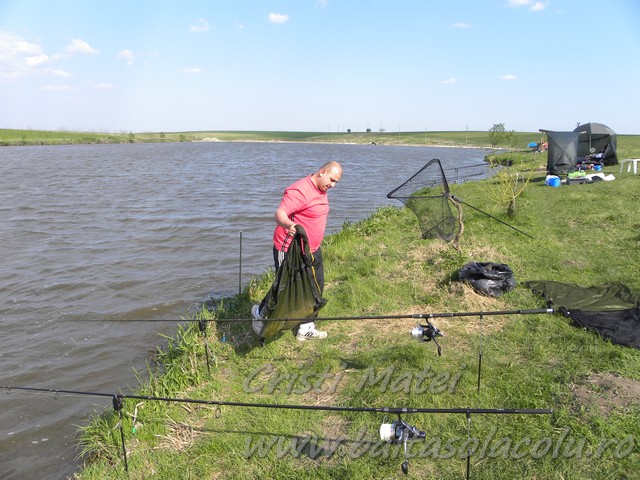 DSCN8473.jpg