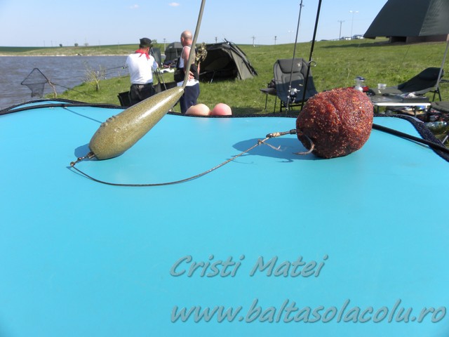 DSCN8472.jpg
