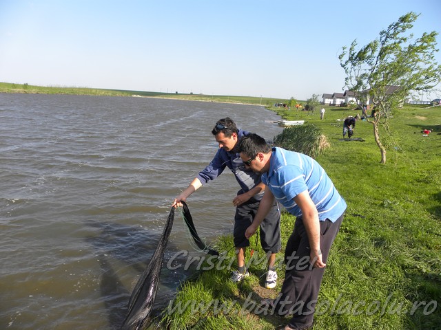 DSCN8482.jpg