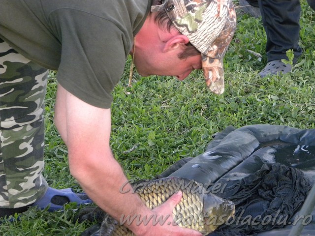DSCN8508.jpg