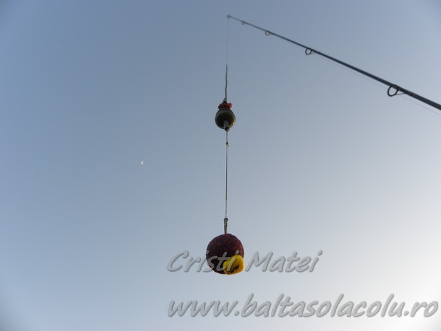 DSCN8518.jpg