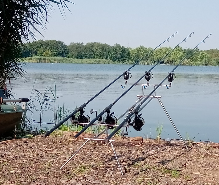 IMG_20190727_094204.jpg