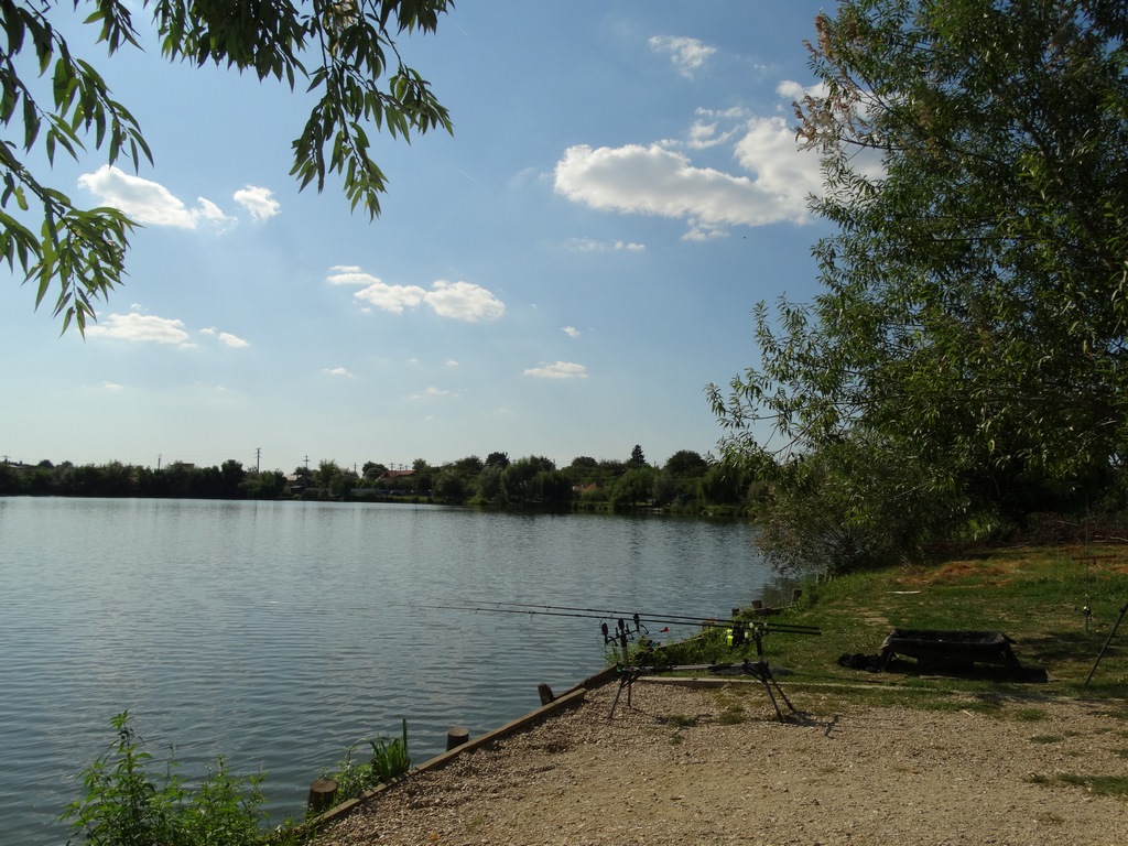 DSC03321 (Copy).JPG