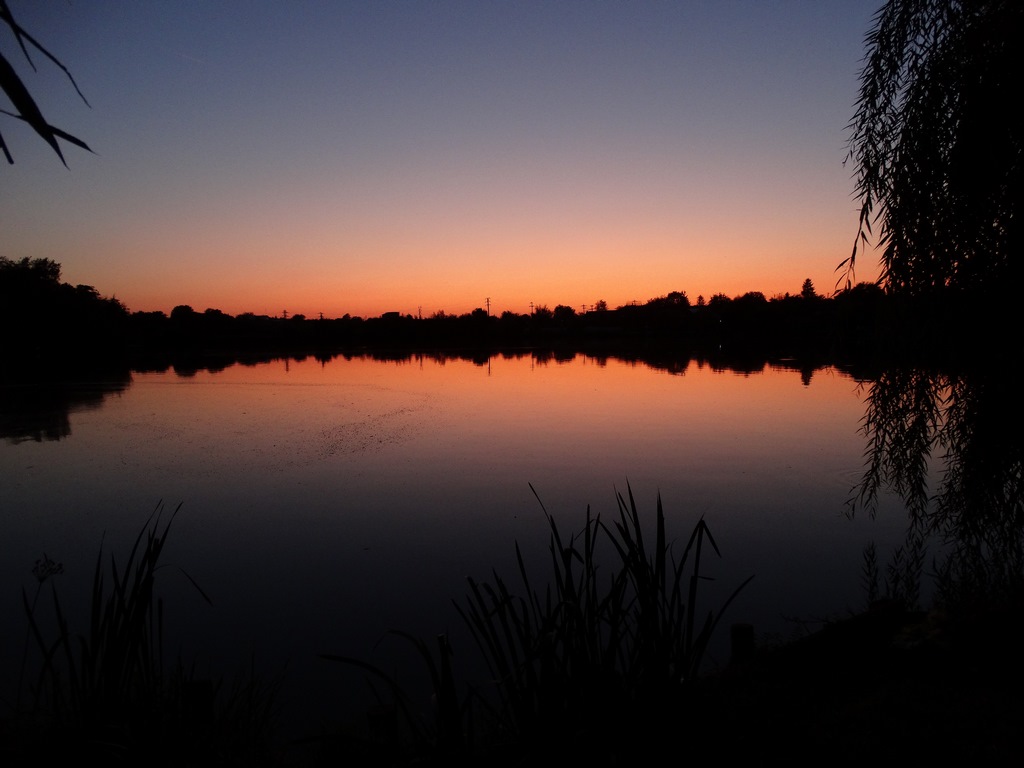 DSC03670 (Copy).JPG