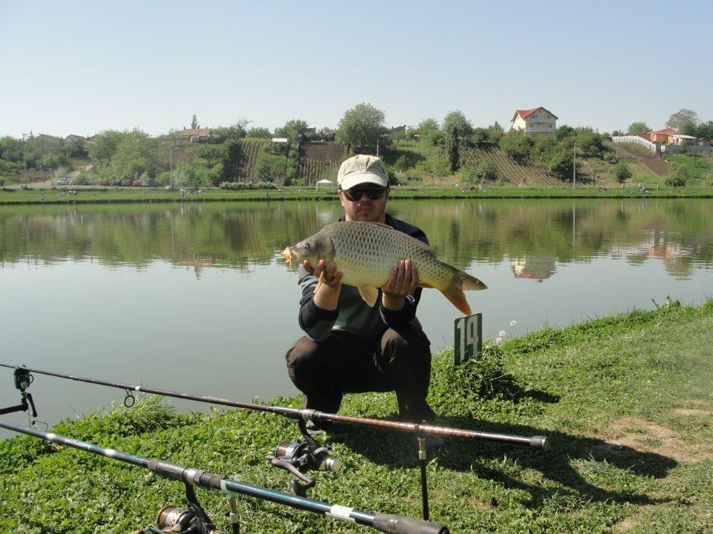 DSC03822.JPG
