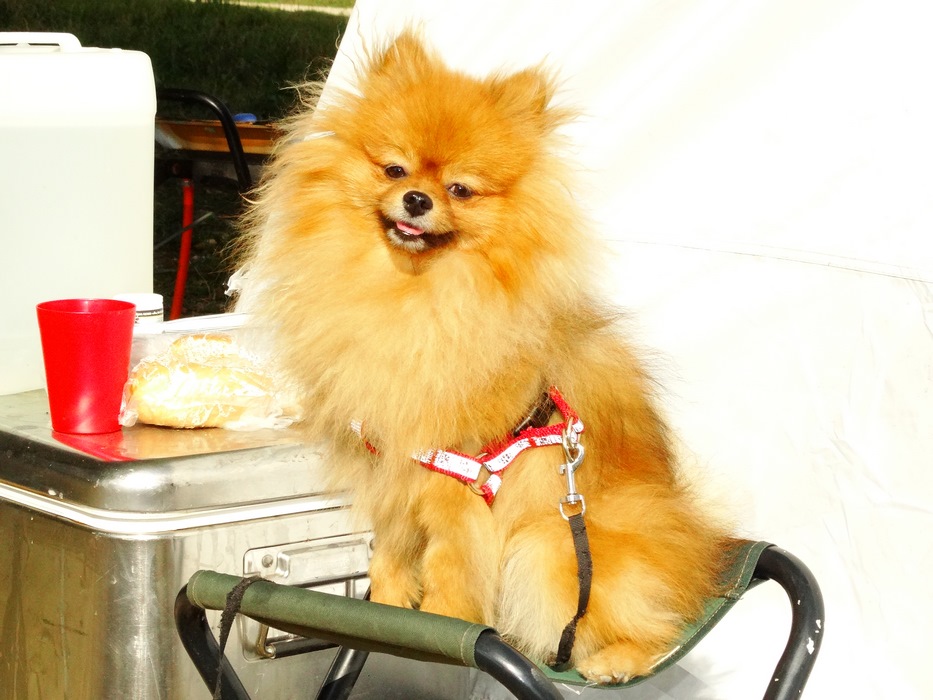DSC04348 (Copy).JPG