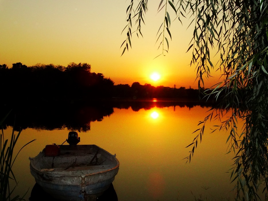 DSC05740 (Copy).JPG