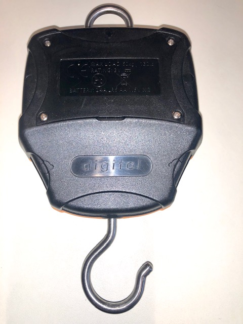 image2.jpeg