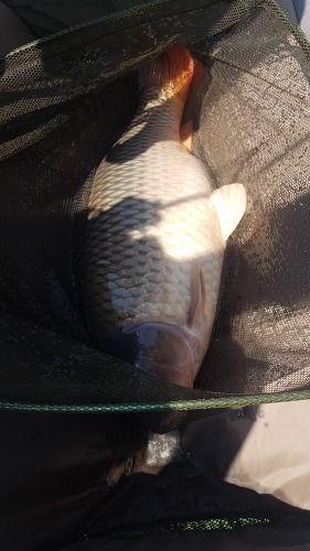 Cupa Cenusaru (61).jpg