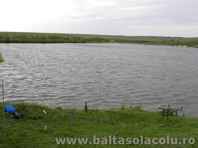 DSCN8758.jpg