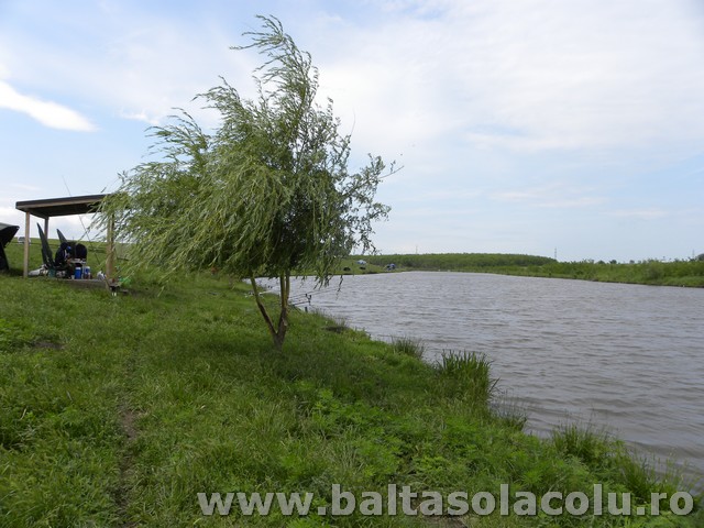 DSCN8767.jpg
