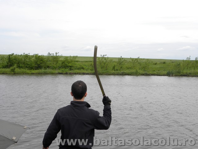 DSCN8772.jpg