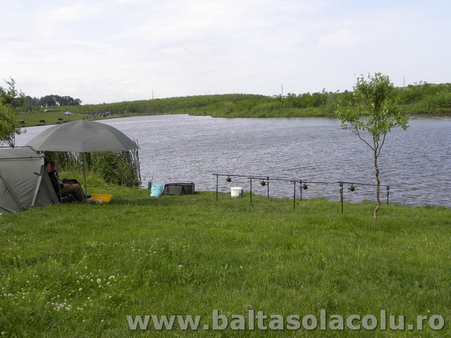 DSCN8794.jpg