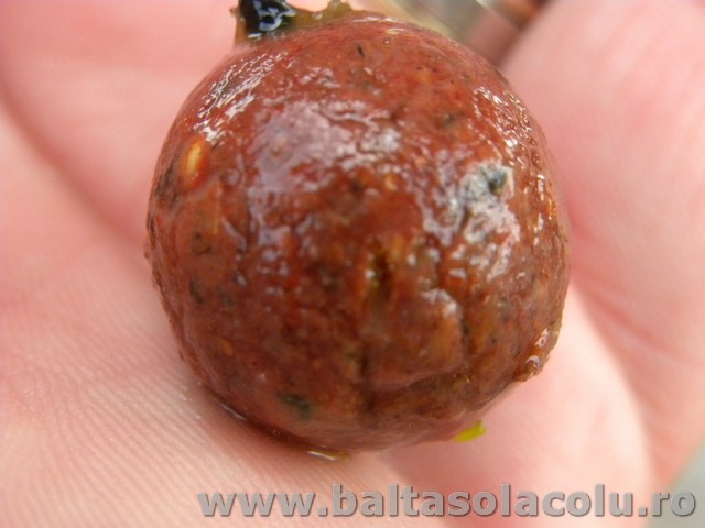DSCN8797.jpg