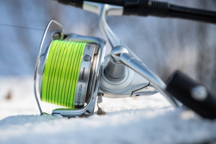 titeiusabin-_DSCc1967 (1).jpg