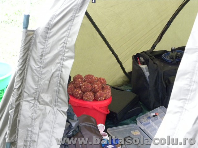 DSCN8862.jpg