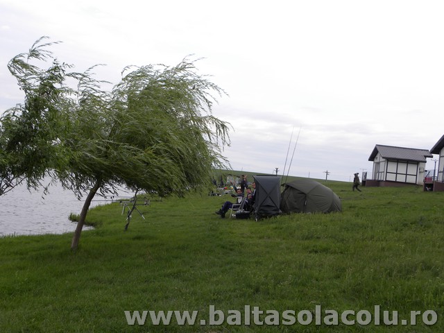 DSCN8866.jpg