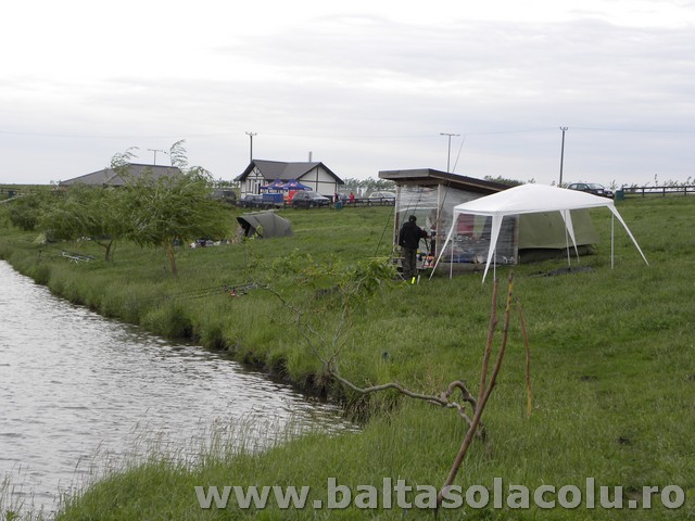 DSCN8880.jpg