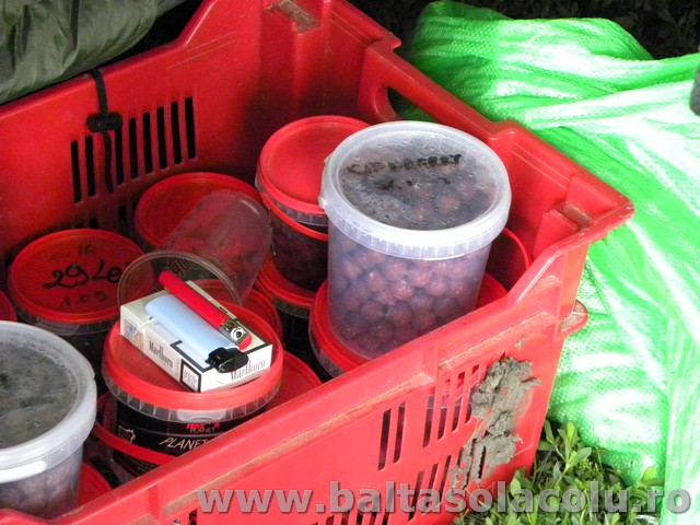 DSCN8896.jpg