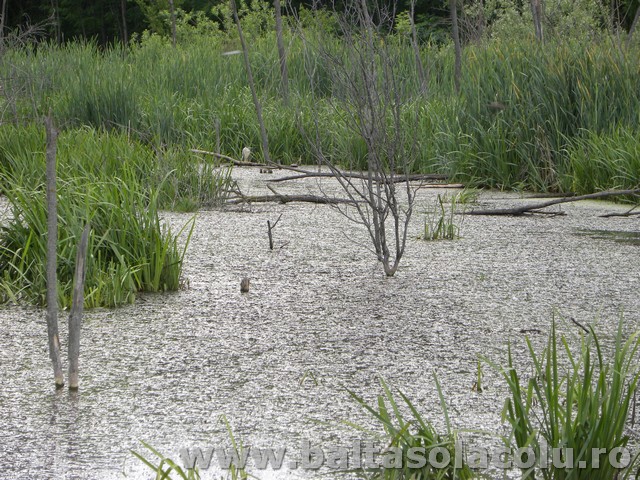 DSCN8919.jpg