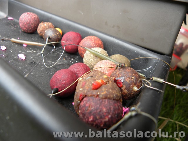 DSCN8986.jpg